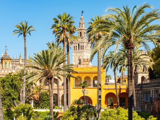 Vue sur la Giralda depuis le jardin de l' Alcazar