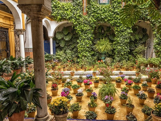 Découvrez de magnifiques patios fleuris