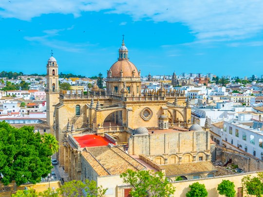 La cathédrale Saint Sauveur à Jerez
