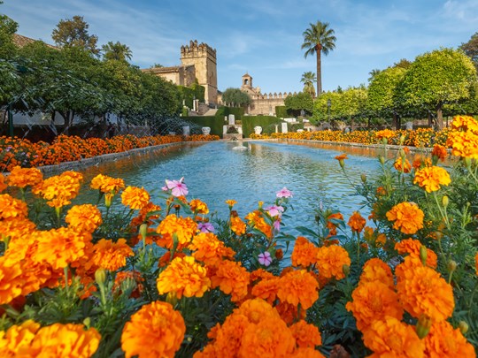 Le jardin fleuri de l'Alcazar à Cordoba ne laisse personne indifférent