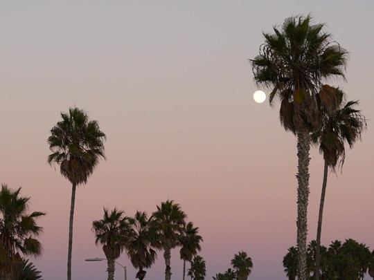 Profitez de l'atmosphère unique au coucher du soleil