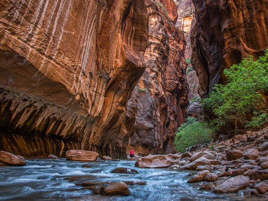 Découvrez le magnifique parc national de Zion