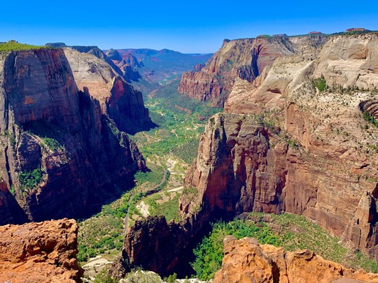 Les jardins suspendus du parc national de Zion