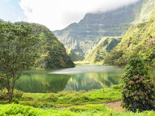 Végétation luxuriante au lac de Vaihiria