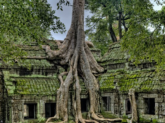 L'un des temples les plus mythiques d'Angkor