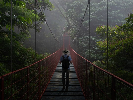 Marchez entre brumes et mystères à Monteverde