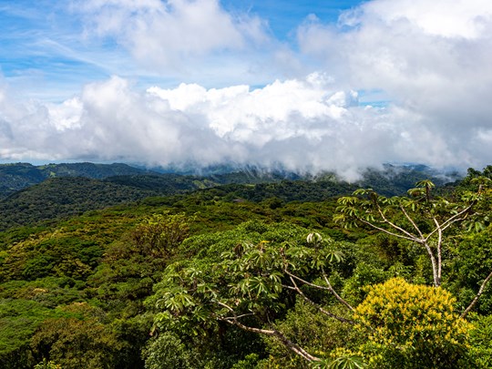 Vue aérienne magique de Monteverde, forêt nuageuse