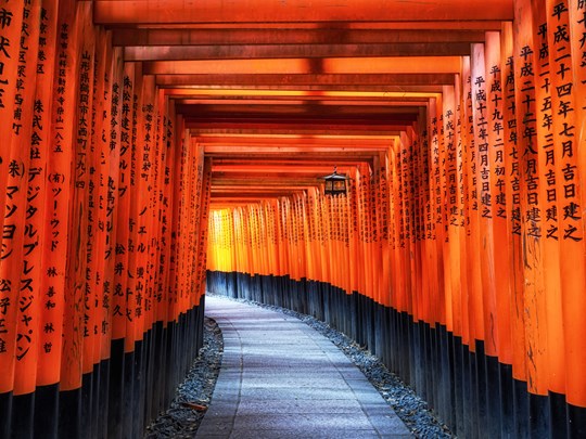 Traversez la fameuse allée du Fushimi Inari Taisha