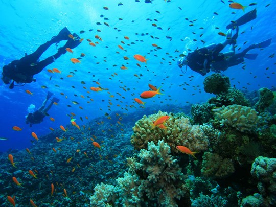 Les passionnés de plongée partiront sur les îles Gili où les fonds coralliens sont les plus exceptionnels