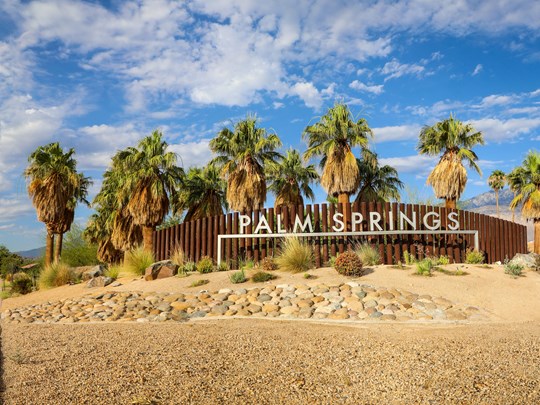 Découvrez l'oasis Palm Springs