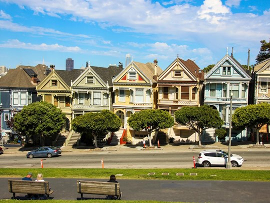 Les célèbres Painted Ladies
