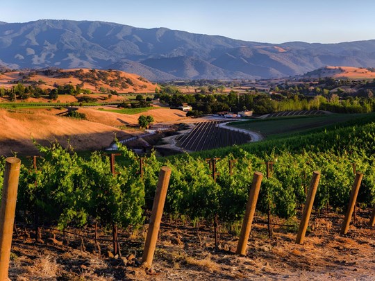 Les vignobles de Santa Barbara