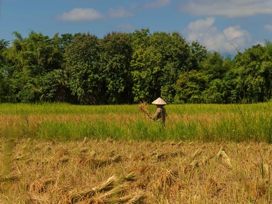 Découvrez toute l'authenticité de l'île de Don Daeng