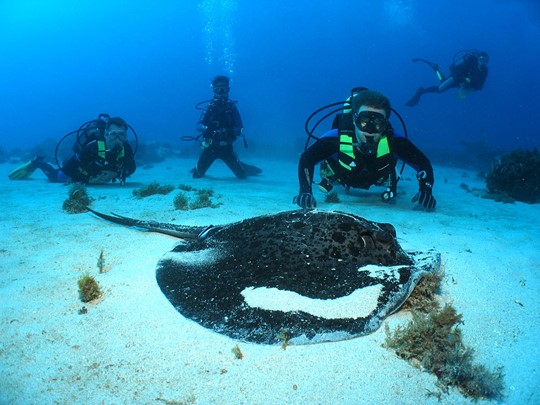 Explorez les fonds marins de l'île Maurice