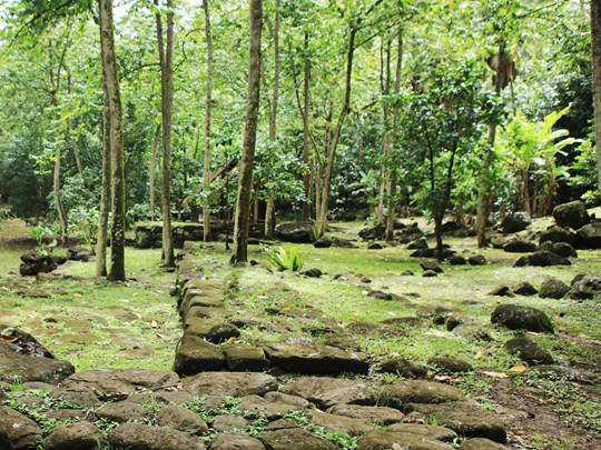 Découvrez les richesses naturelles et culturelles de l'île