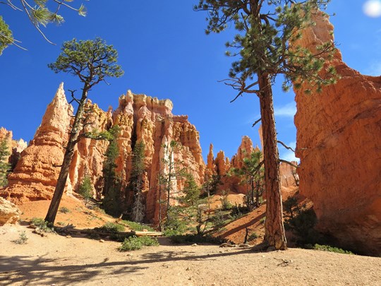 Bryce Canyon et ses cheminées de feu
