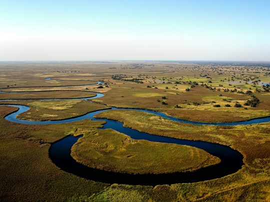 Plongez au cœur de la nature africaine