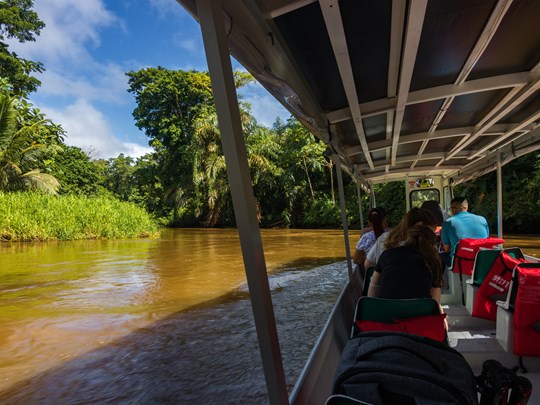 Balade en bateau dans les canaux de Tortuguero