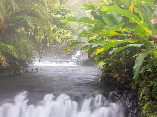 Sources chaudes naturelles au pied du volcan