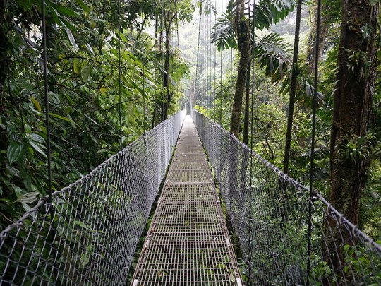 Ponts suspendus avec vue sur le volcan Arenal