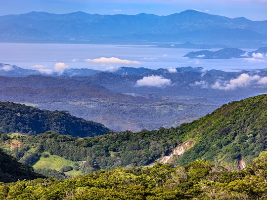 Écosystèmes fascinants au cœur de Monteverde