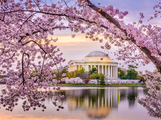 Admirez le Jefferson Memorial