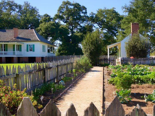 La plantation Magnolia Mound