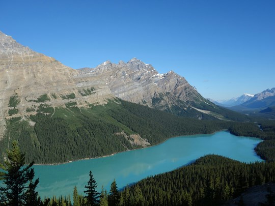 Lac Peyto Canada