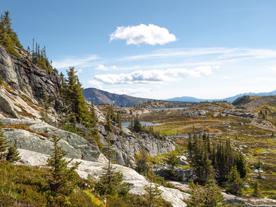 le parc provincial de Wells Gray