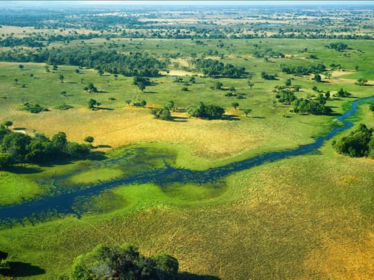 Admirez le Delta de l'Okavango de haut