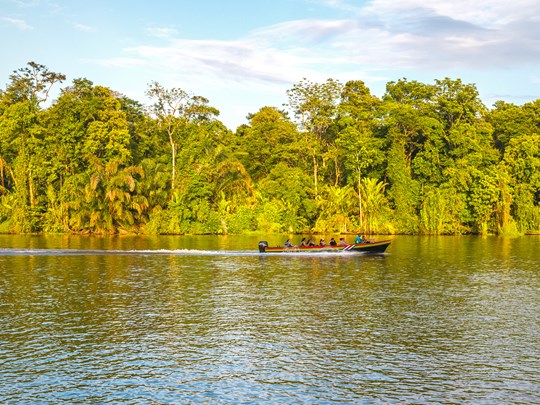 Une visite magique du parc national de Tortuguero