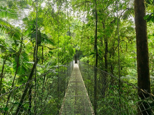 Monteverde et ses ponts suspendus