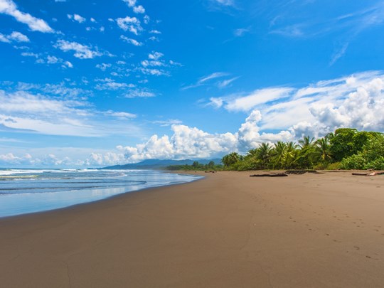 Promenez vous sur la plage de Nosara