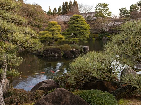 Himeji et ses jardins luxuriants