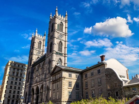 Visitez la Basilique-Notre-Dame