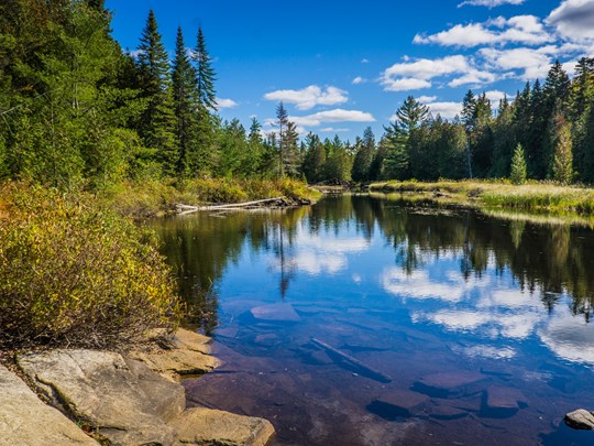 Des lacs étincelants en pleine forêt