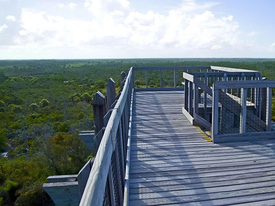 Profitez de la nature du Jonathan Dickinson State Park