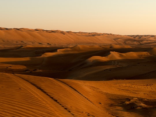 Dépaysement au Wahiba Desert