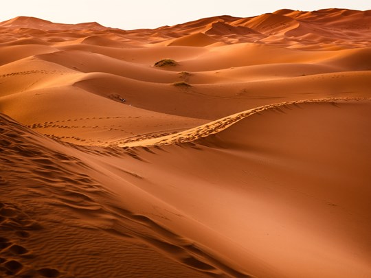 Admirez la vue sur Sharqiya Sands