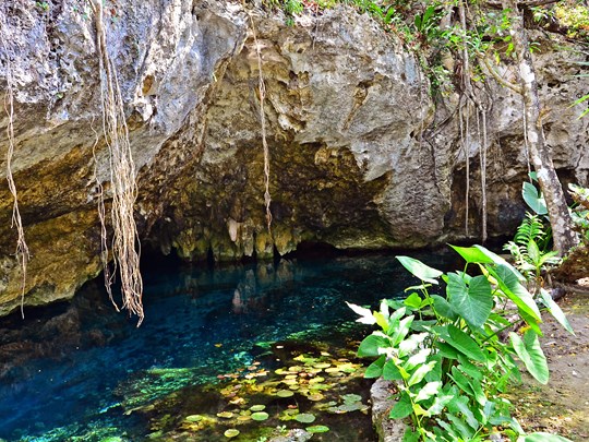 Les eaux translucides du Gran Cenote