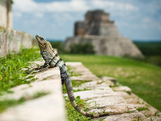 Découvrez le charme de la région du Yucatan