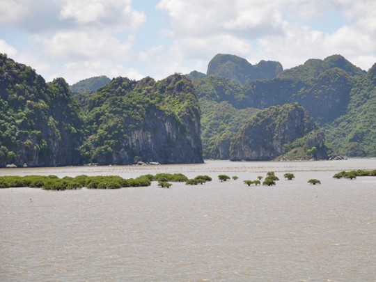 Les paysages pittoresques de la baie de Lan Ha