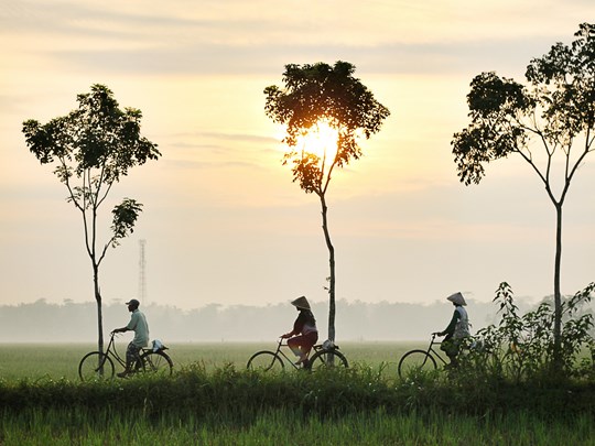Vélo dans la campagne vietnamienne