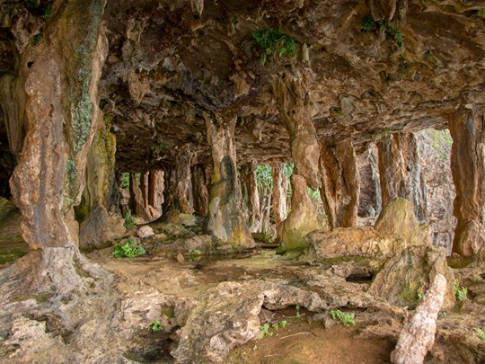 Explorez les grottes de Rurutu
