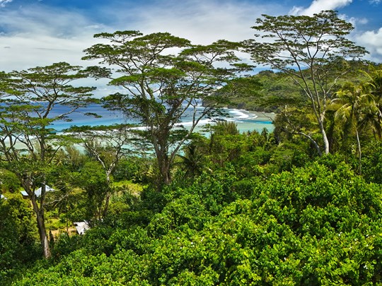 Immersion en pleine nature