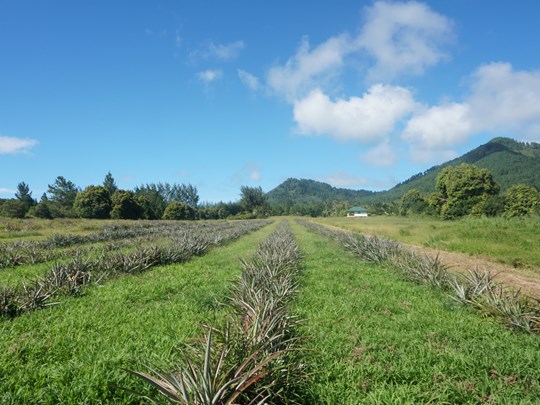 Une île fertile aux paysages uniques