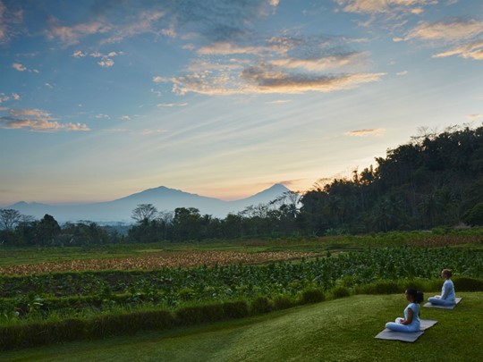 Séance de yoga avec une vue sur la végétation de Java
