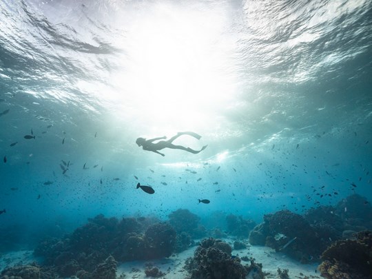 Un sanctuaire marin d’une beauté rare