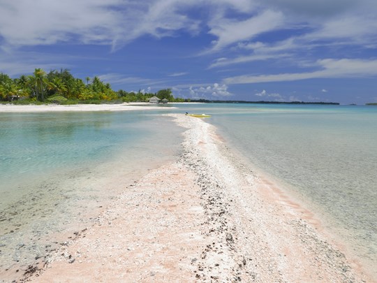 Banc de sable rose, Tikehau