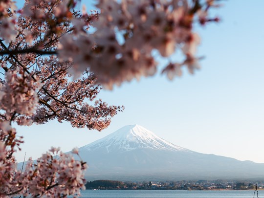 Le Mont Fuji à la période des cerisiers en fleurs